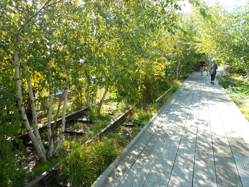 The High Line foliage through tracks