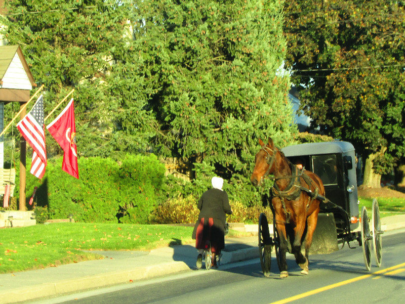 Amish county