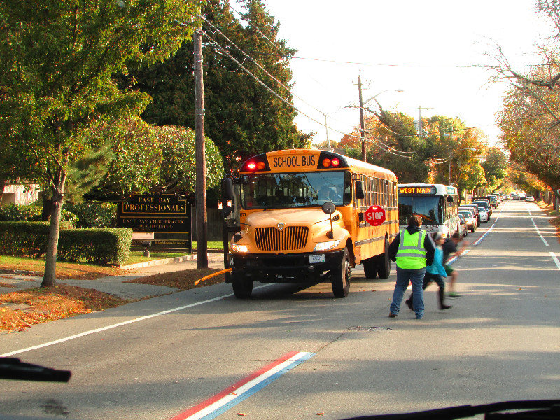 Stop for the school bus