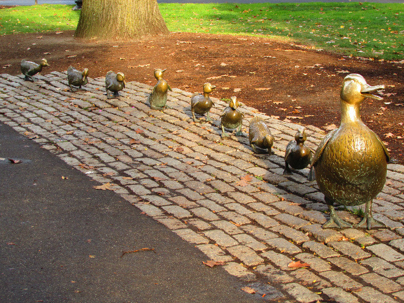 Get your ducks in a row!