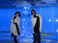 Chillin in the Ice Bar onboard