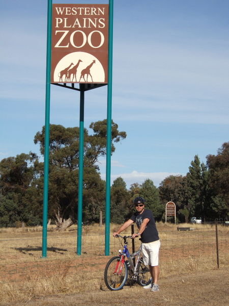 Outside Western Plains Zoo, Dubbo