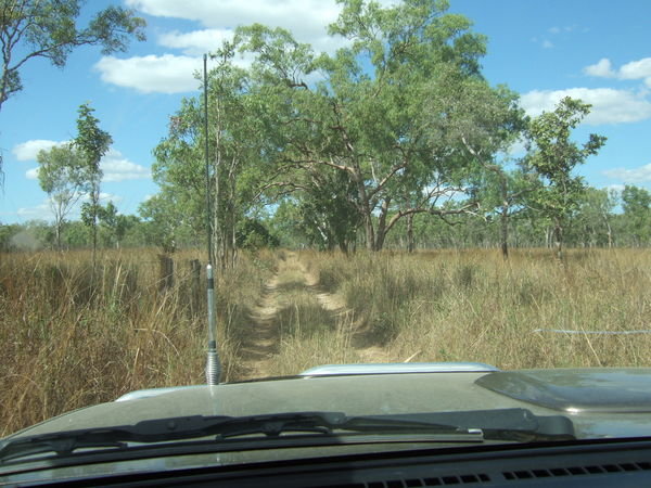 Track within Lakefield National  Park