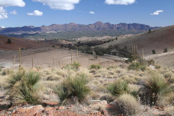 One view of Flinders Ranges