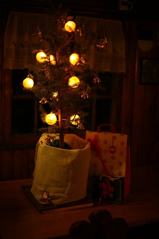 Unser Weihnachtsbaum...