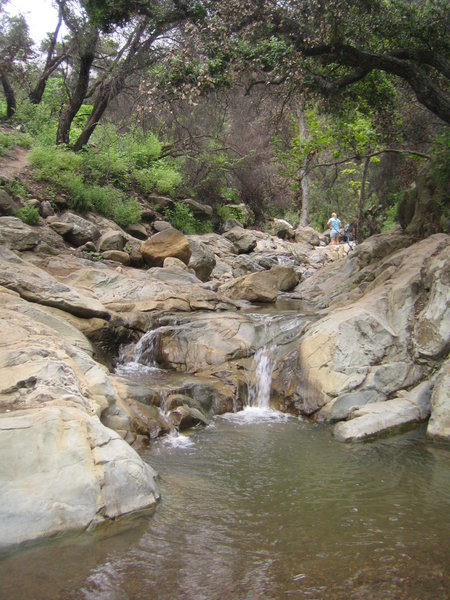 Mission Canyon Creek