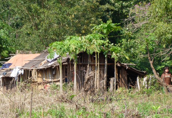 Guarani bamboo/tin house
