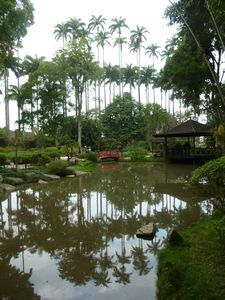 Botanic Garden reflections