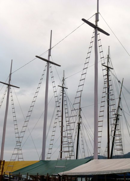 A Sea of Masts