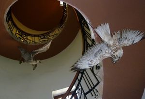 birds of prey flying around the spiral staircase of Museum of Man and the Sea