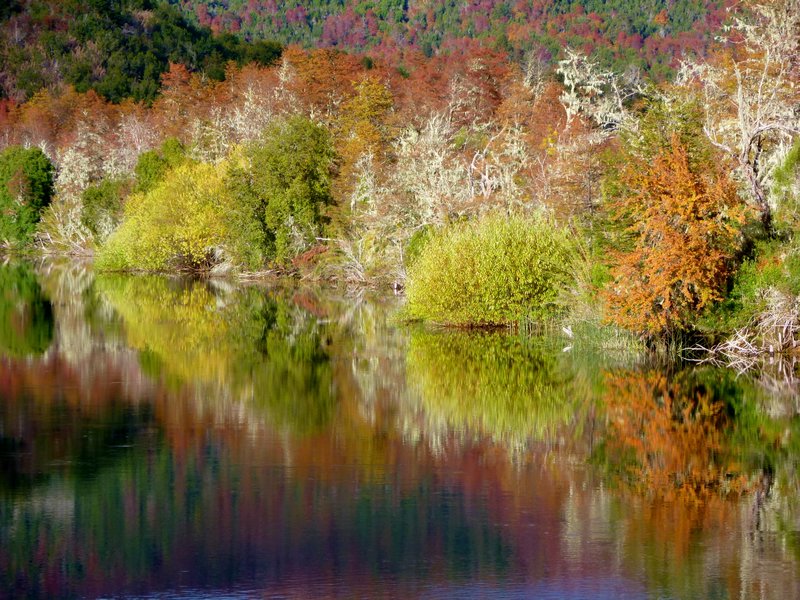  autumn reflections--Lake Mascardi