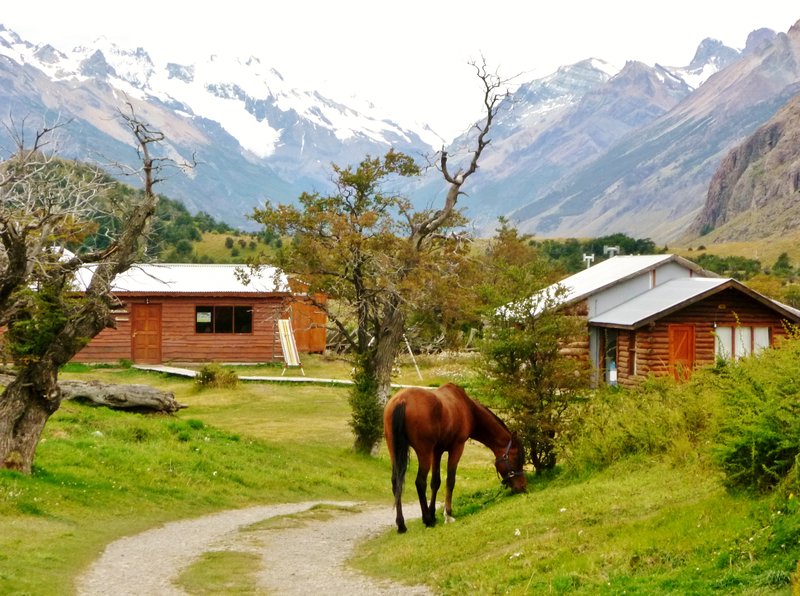 common room, dorm & horse at the campground