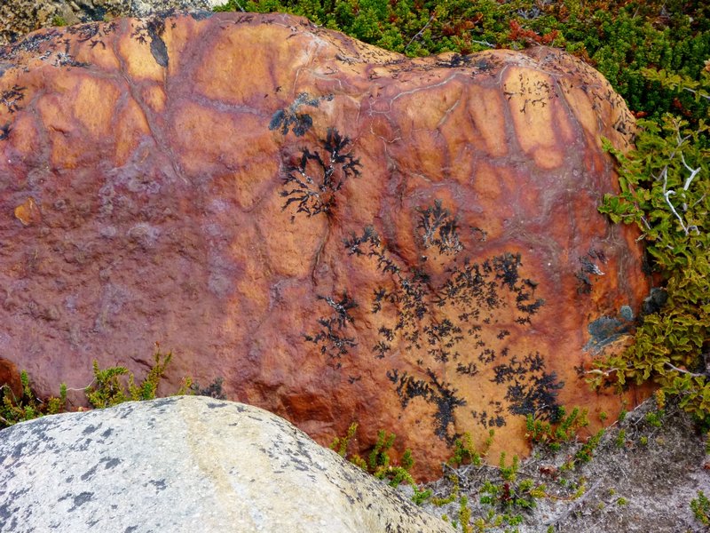 gogorgeous weathered rock with decorative  magnesium dendrites