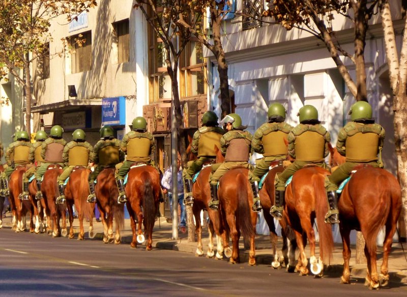 armored turtles on horseback waiting for the student protesters