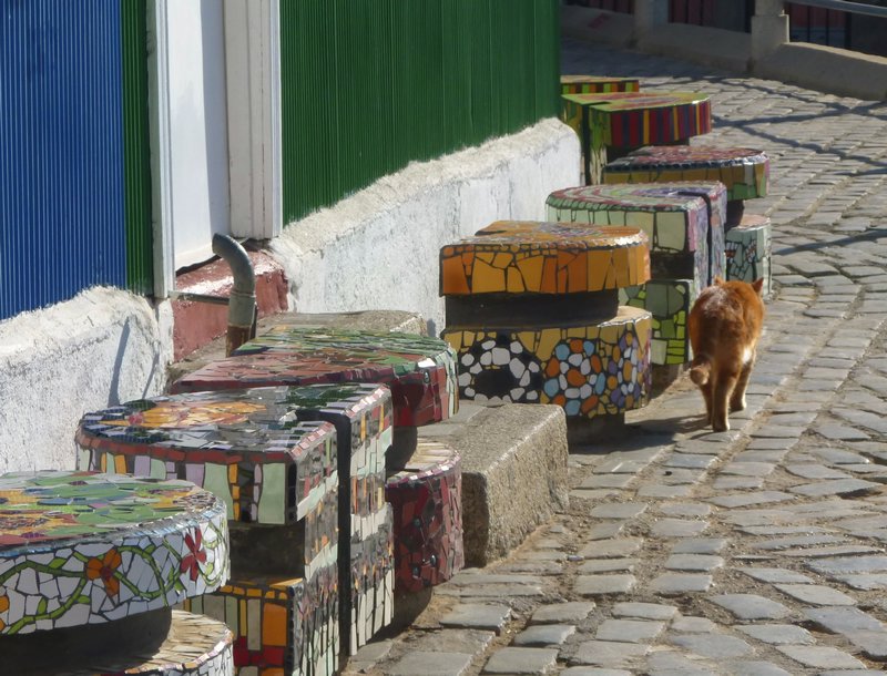 colored houses and cobblestones, mosaic seats and ginger cat