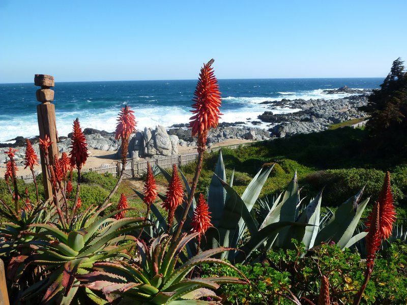 aloes & grave's view that washed me with homesickness