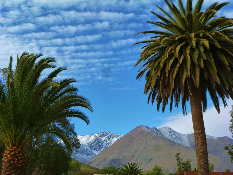 palms and snow-capped mountains--perfect