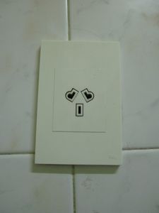 curious Argentine socket--looking rather anthropomorphic