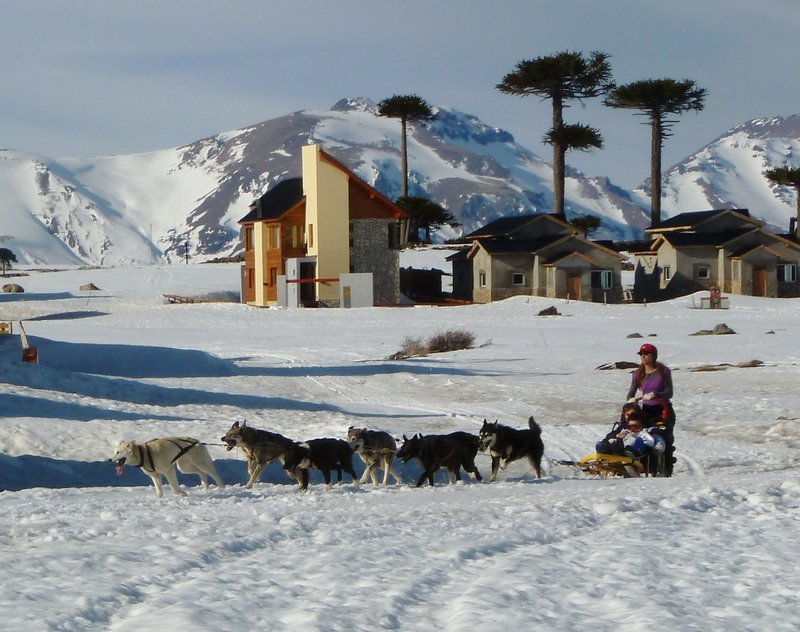 dog sled passing  through town, back from an adventure