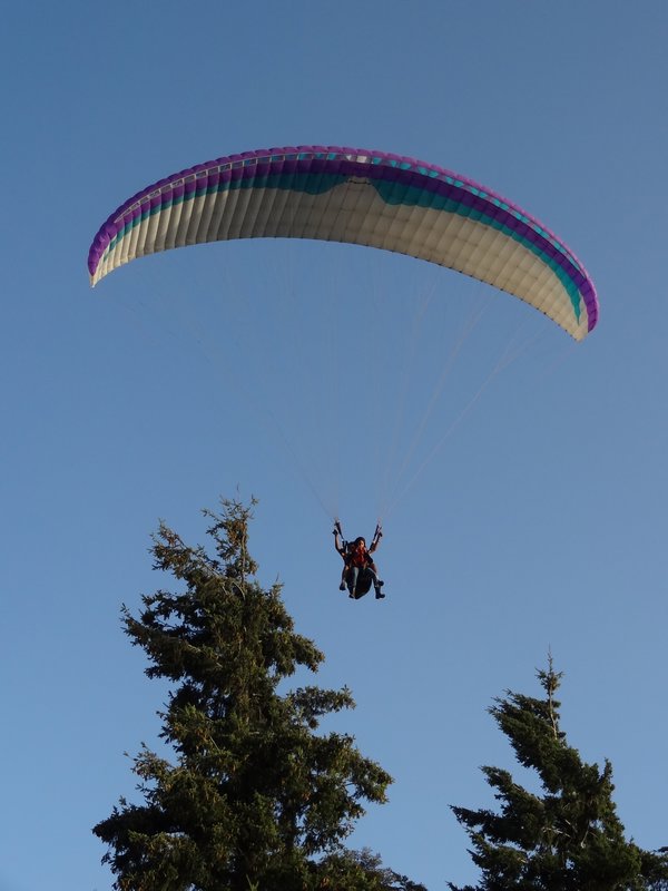 paraglider--one of many summer entertainment options
