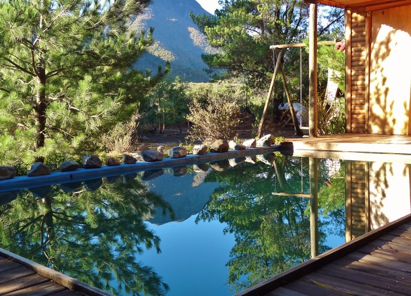 refuge's  backyard pool &  sauna