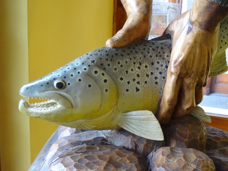 Junin de los Andes--trout capital of Argentina