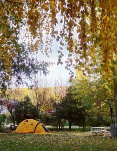 autumn in mycampground