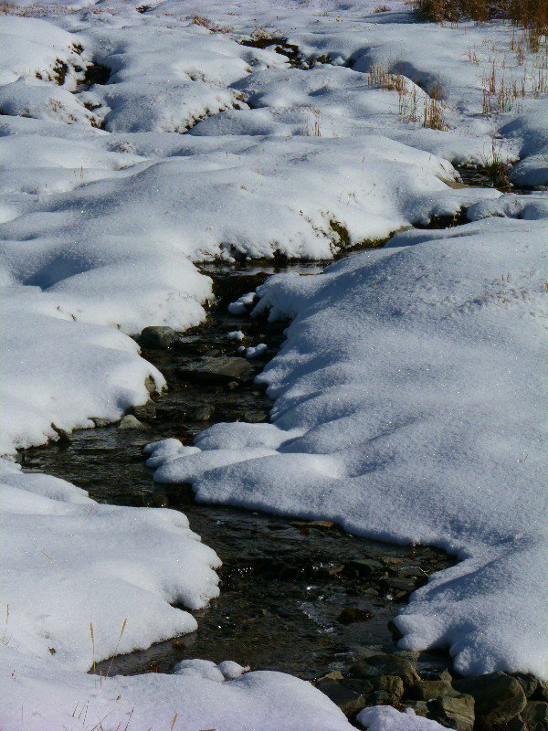 hidden stream, now visible along trail