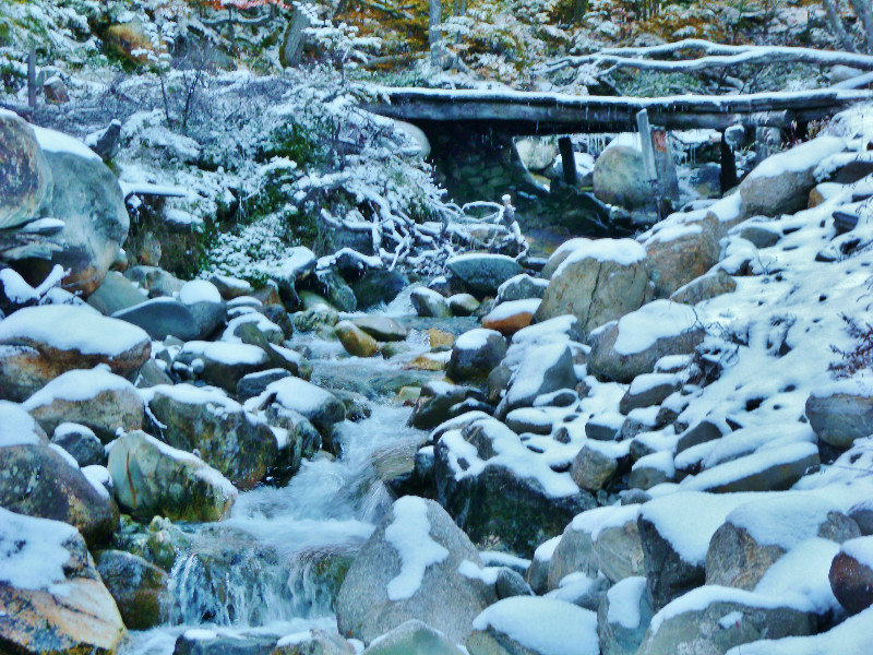 icy stream and bridge
