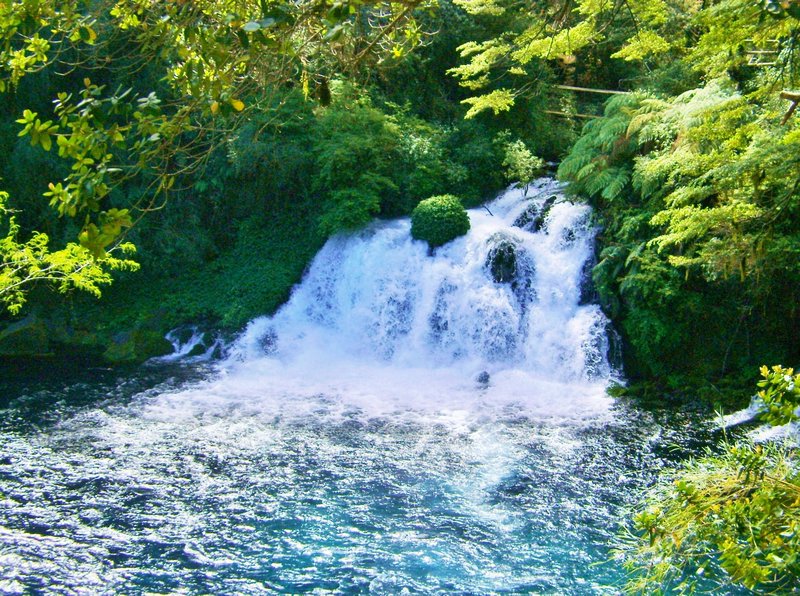 Ojos de Caburga--waterfall emerging from an underground spring