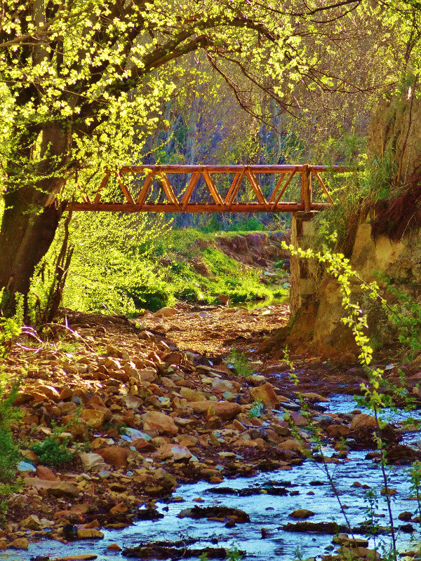 one of many handcrafted bridges