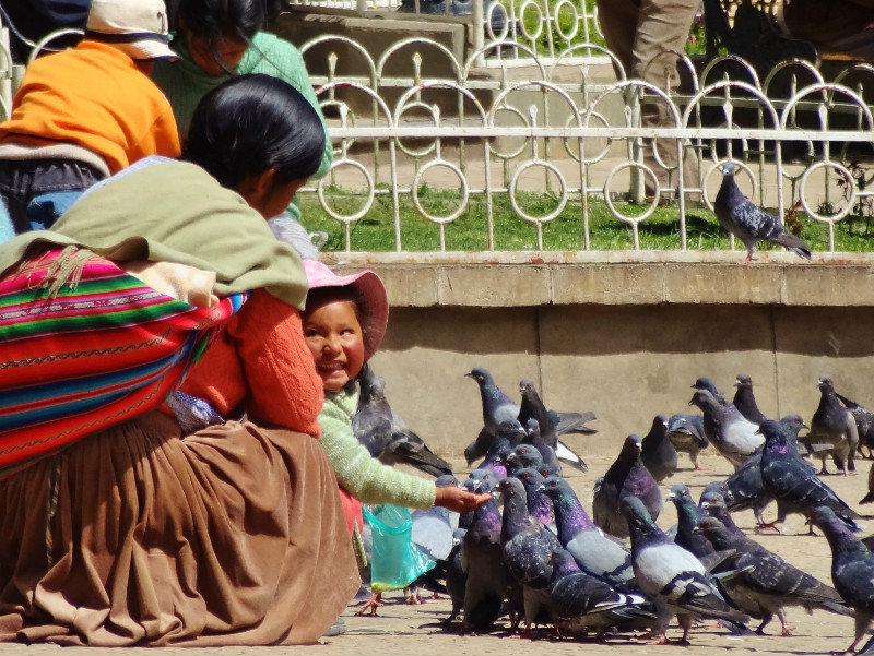 pigeon feeding rather than pigeon chasing