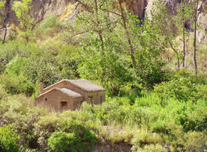 Lots of little, isolated adobes with thatched roofs scattered all over 