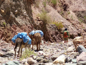 Carrying supplies to a far-away pueblo