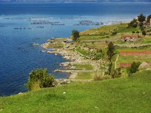 Lake Titicaca shore