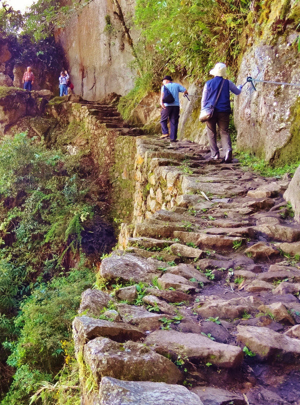  fun trail to the Inca bridge
