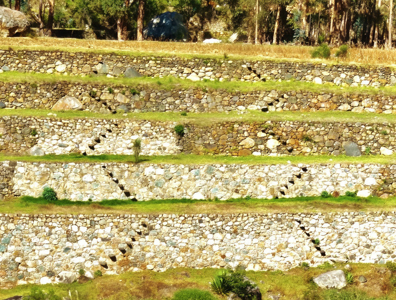 classic Inca agricultural terraces with steps 
