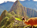 classic Machu Picchu and llama
