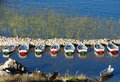 fishing boats and tortola reeds