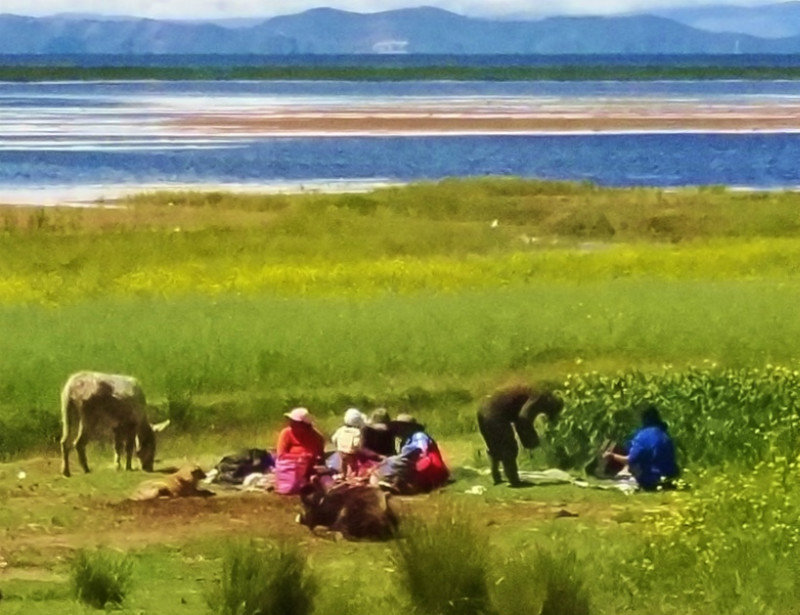indigenous family on Titicaca lunching in their fields