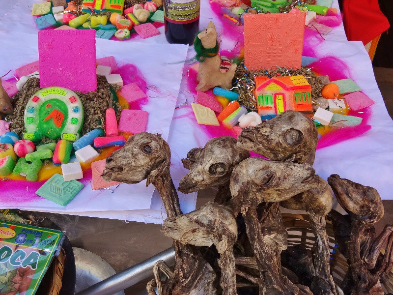 Witches' Market--llama fetus and sweets for rituals
