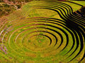 Moray experimental agricultural circles
