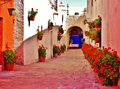 geraniums lined the cobbled streets