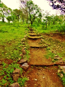 sweet trail at hostel