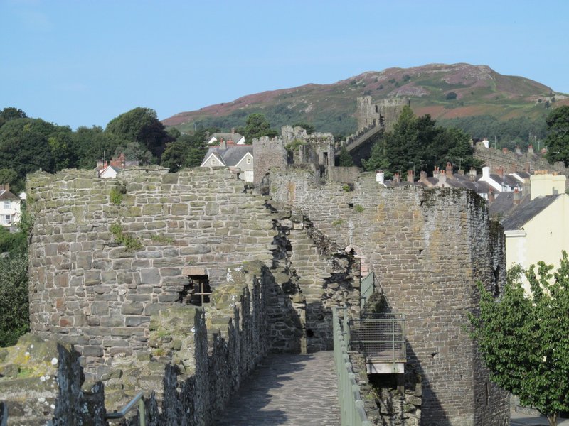 Conwy wall