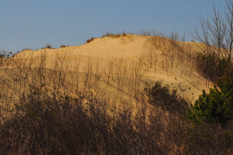 Ridges of Sand