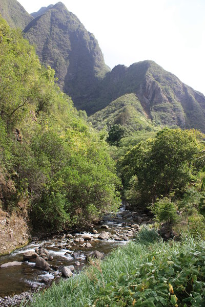 Density of Iao Valley State Park