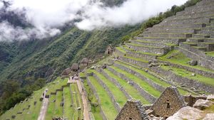 Terraces at MP