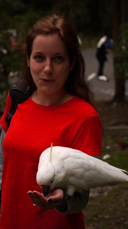 Liz feeding a cockatoo