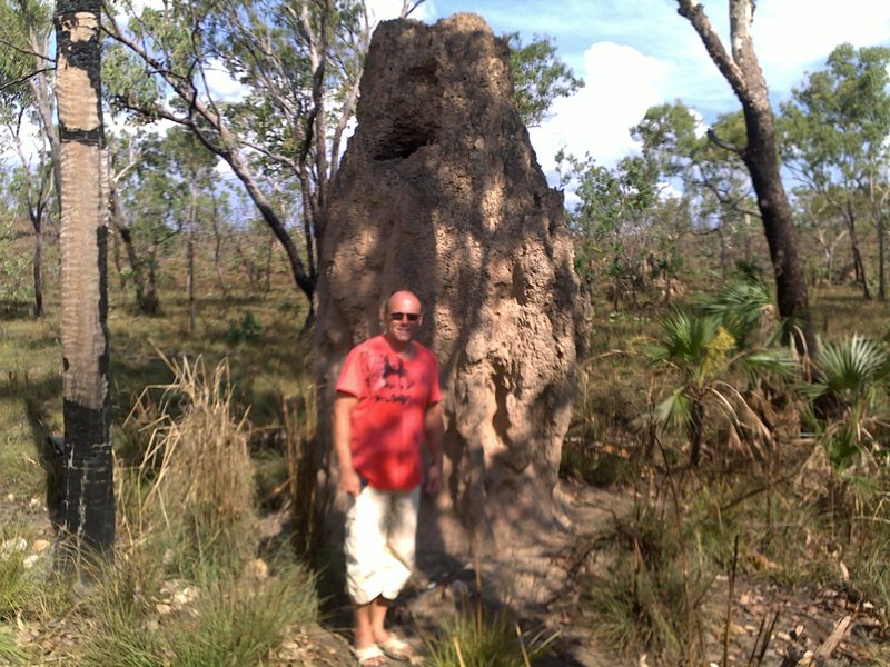 Biiig termite mound